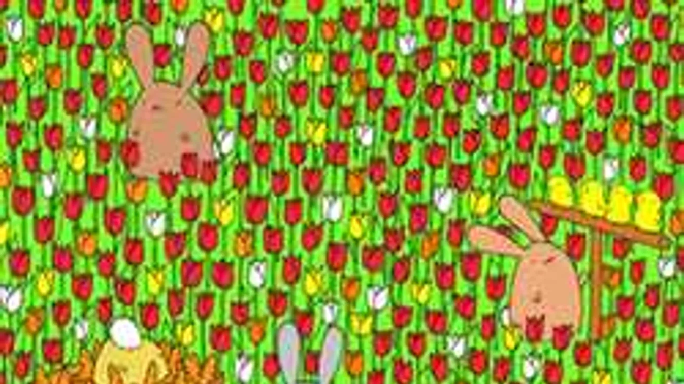 Ennél jobb fejtörő nincs ma: neked sikerült megfejtened?