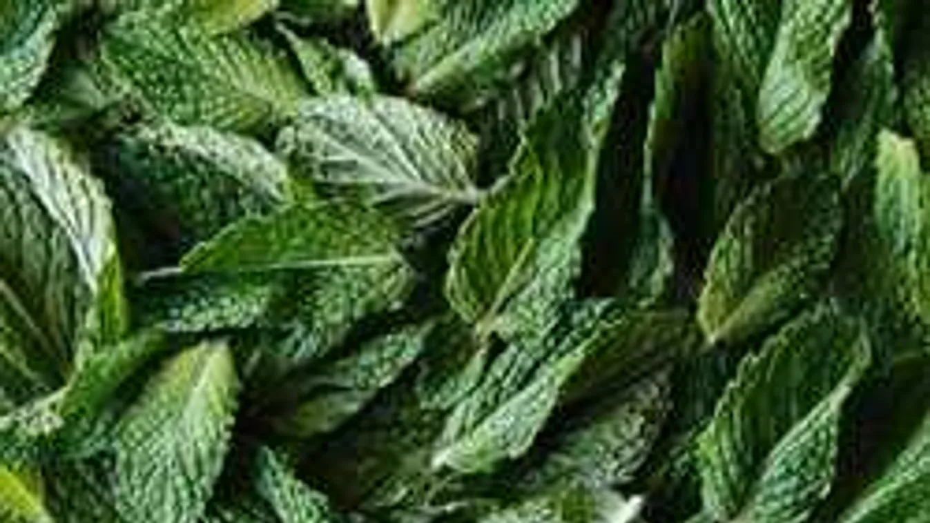 Gyógyítsd meg a puffadást természetes csodaszerekkel!