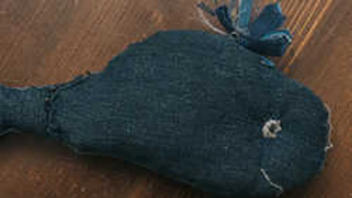 Óránként 6 magyar gyerek jelentkezik az öngyilkos Kék Bálna-kihívásra