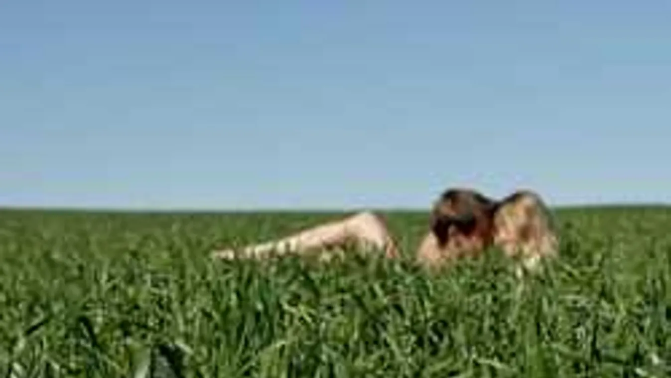 Parkban szerelmeskedtek - a bíró zseniális ítéletet mért rájuk!