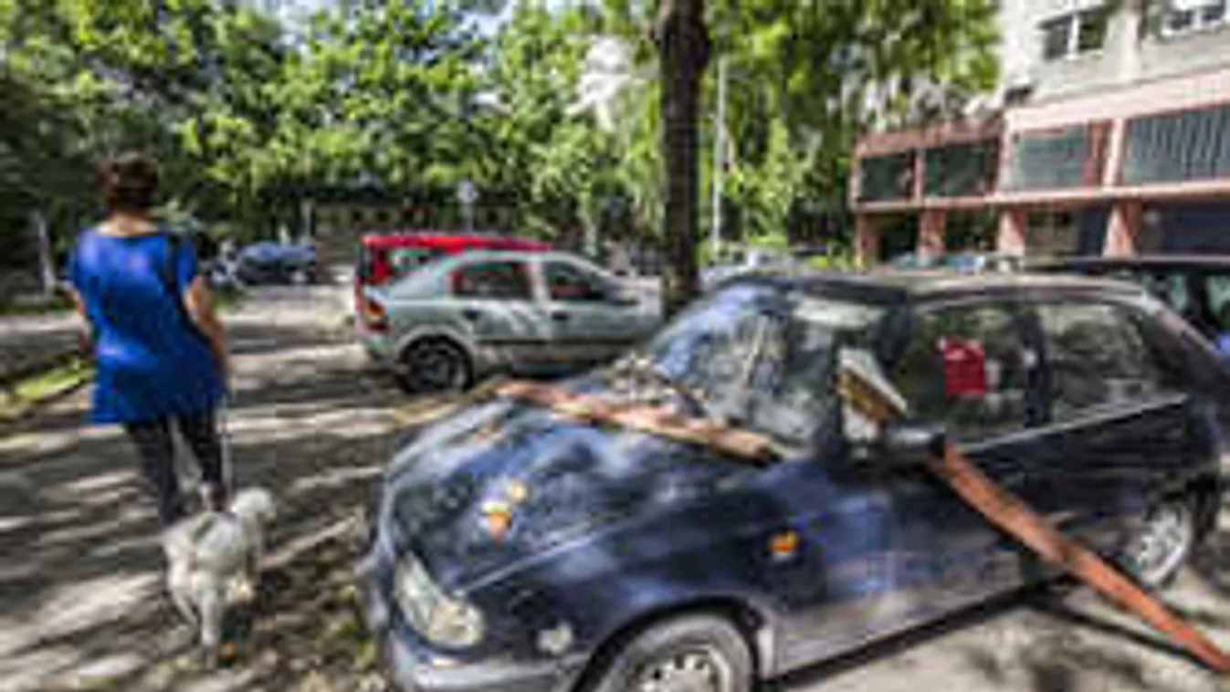 Roncstemetővé válnak az utcák?!