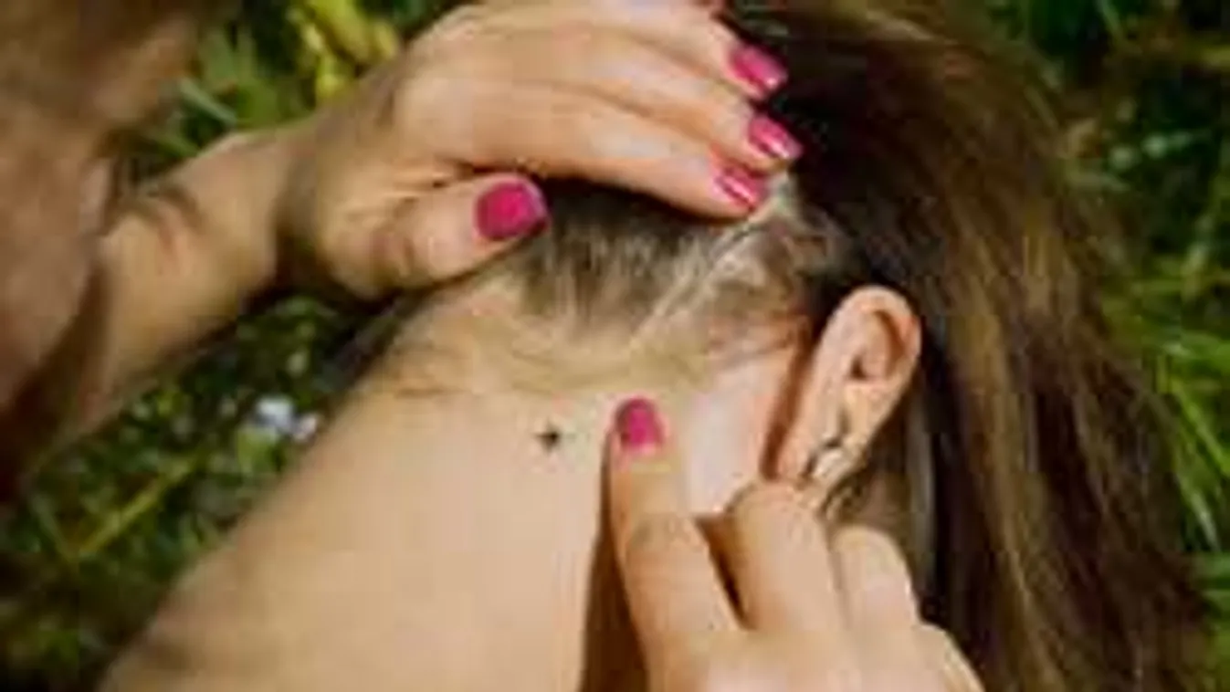 Vérszívóktól rettegnek a magyar szülők, a játszótereken is támadnak