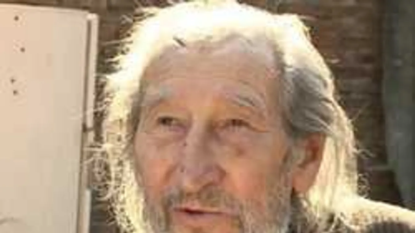 Szilágyi István fia tagadja, hogy bántalmazta volna a szüleit