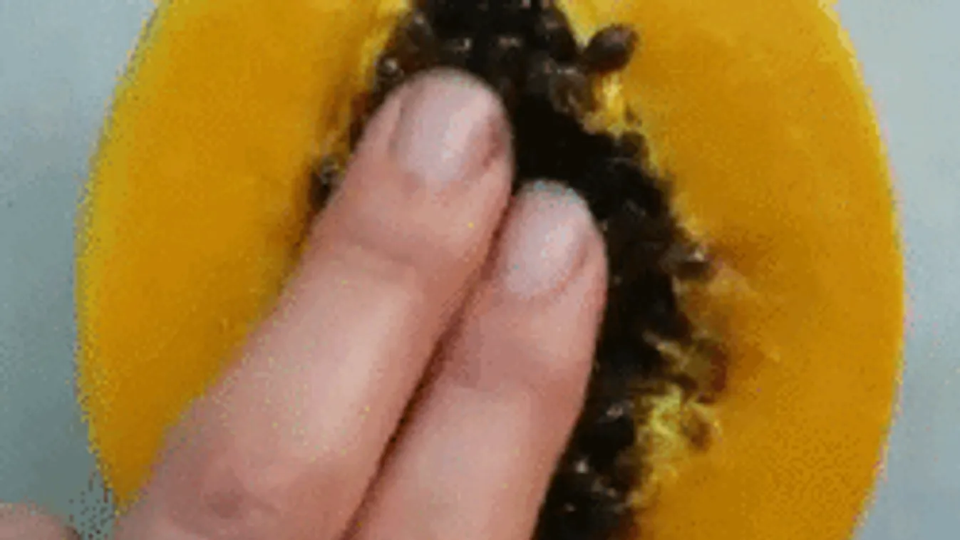 Erre gondolnak a nők maszturbálás közben