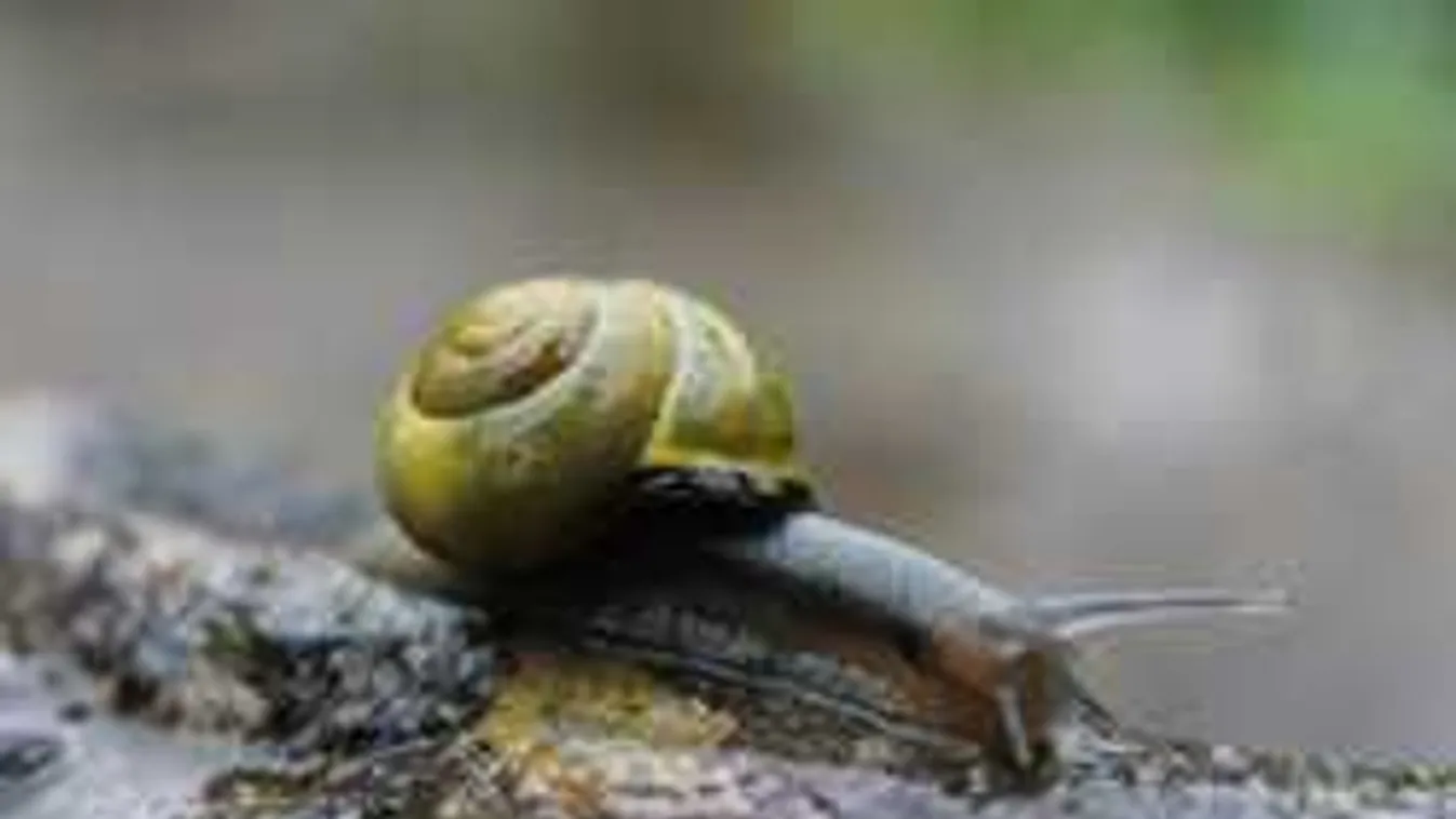 Nincs enyhülés, marad a borzalmas idő: eső és hideg vár ránk