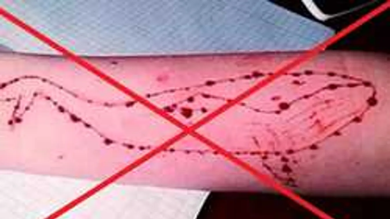 Ez az igazi kihívás, itt a magyar applikáció a gyilkos Kék Bálna ellen