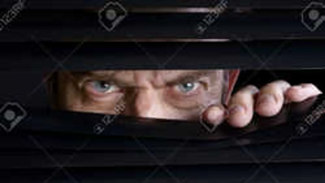 Kétezer magyar pedofil szervezkedik az interneten