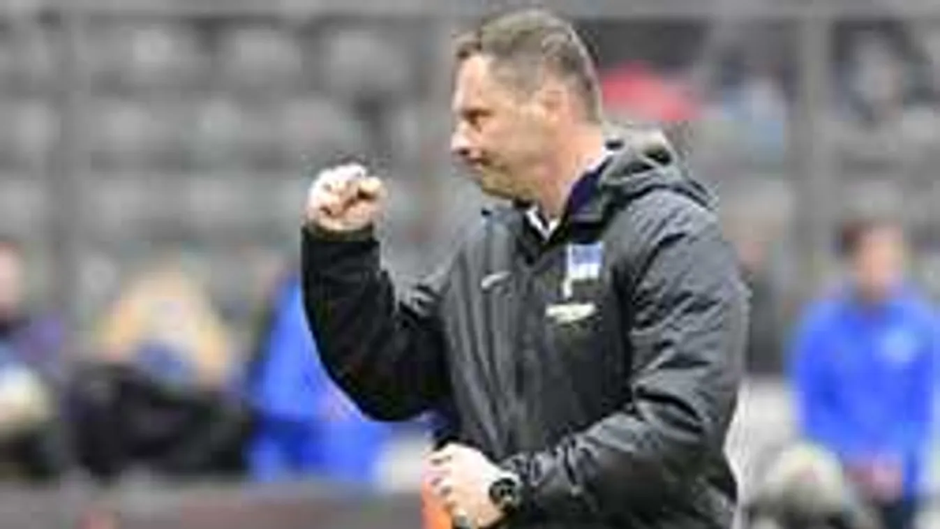 Meglepetés, Dárdai elárulta, melyik csapatnak szurkol