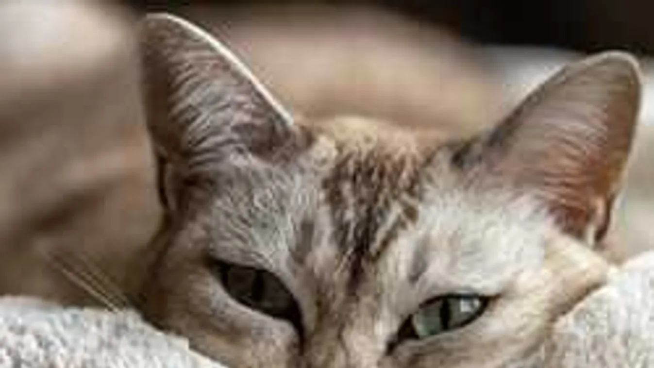 Kiadták a vészjelzést: brutális időnk lesz, ránk szakad az ég