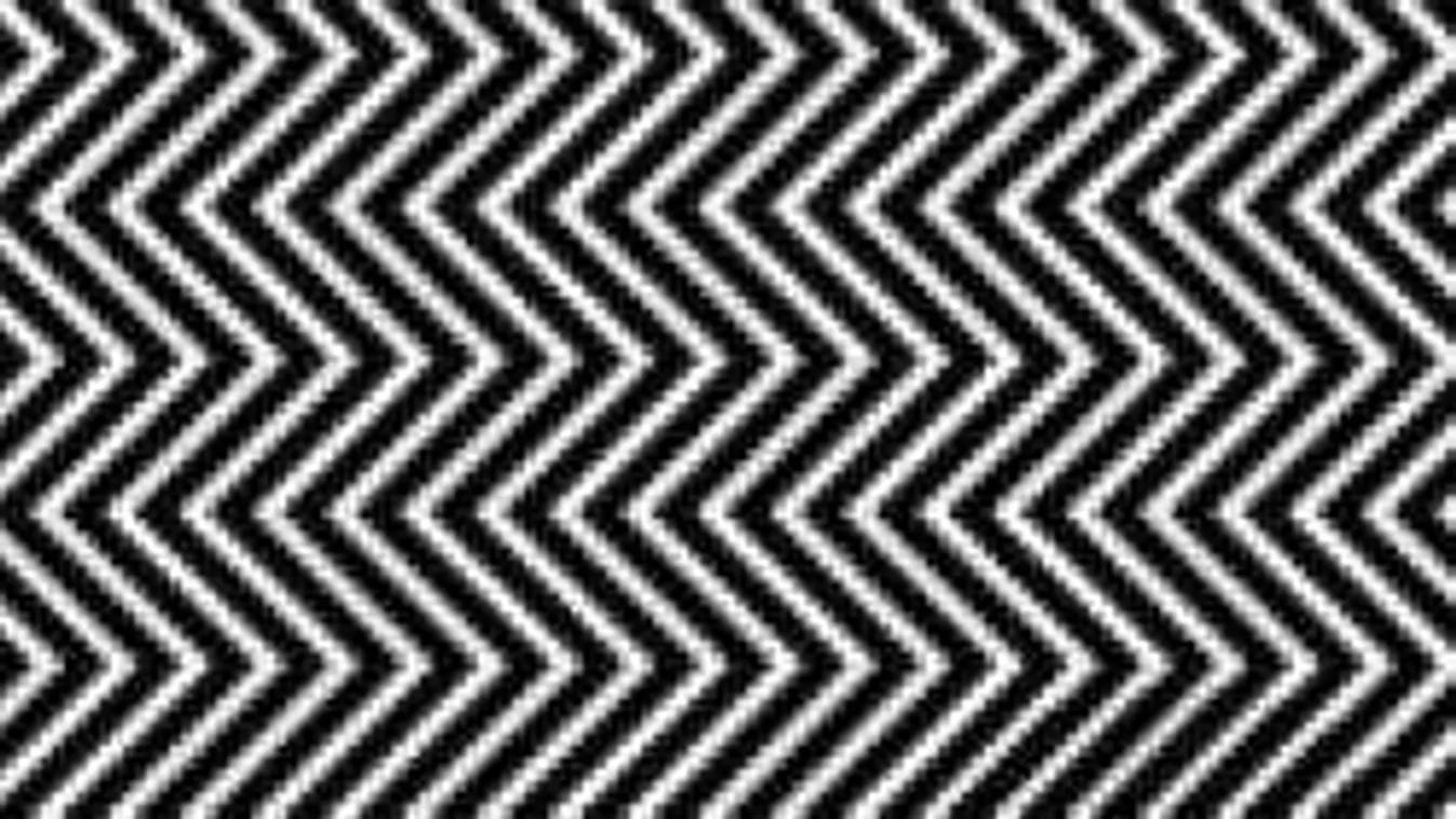 Az emberek 87%-a nem jön rá, mit rejt ez a kép. Neked sikerül?