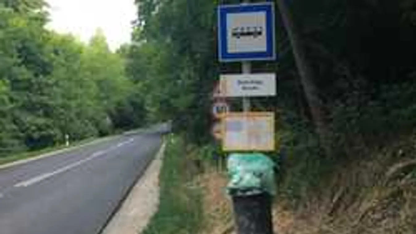 Életveszélyes, takarásba rakták a közlekedési táblákat!