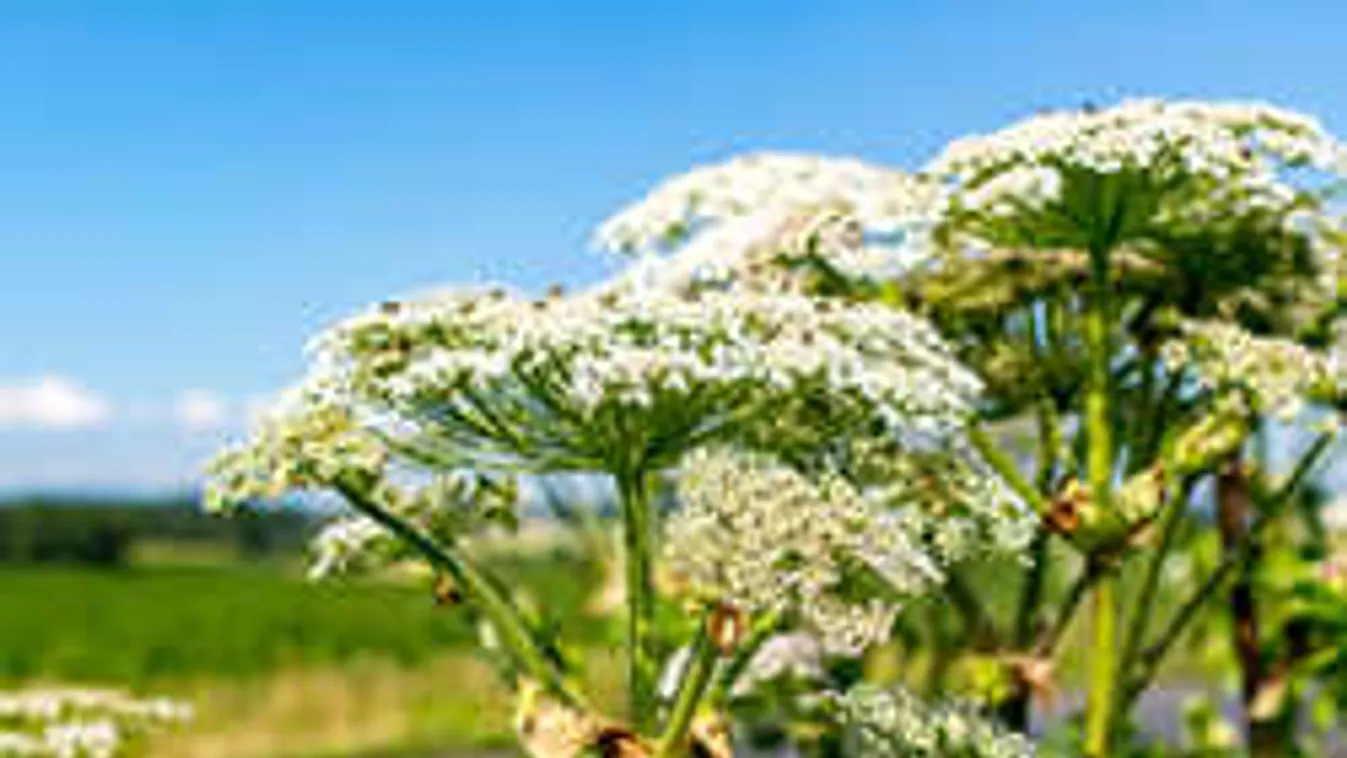 Új veszély leselkedik a magyar kirándulókra