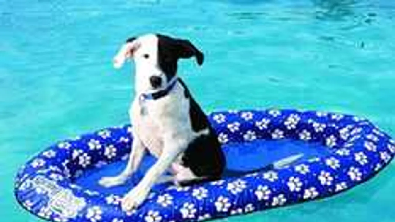 Felejtsd el a gumimatracot, mutatjuk, mivel leszel igazán menő a strandon