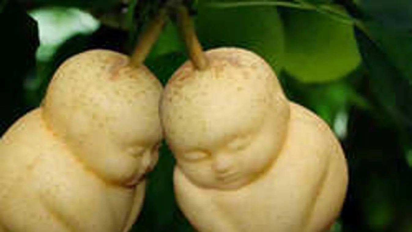 Végre megvan a nagy buddha-rejtély titka