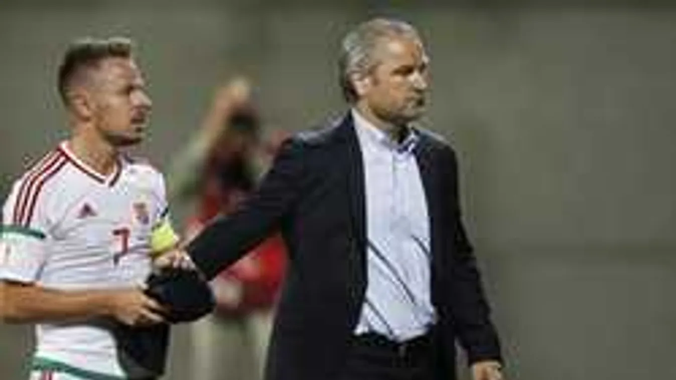 Storcknak csak ez hiányzott, még az ág is húzza