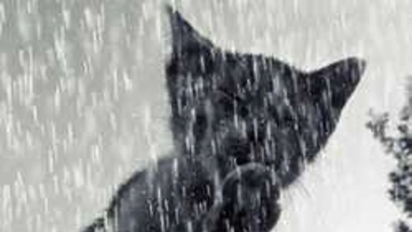 Jön a front: emelték a riasztás fokozatát, mutatjuk a veszélyzónákat