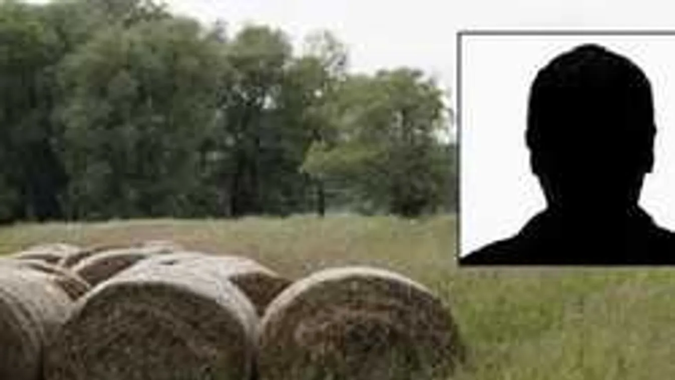 Szénabála mögött akarta megerőszakolni a 10 éves kislányt!