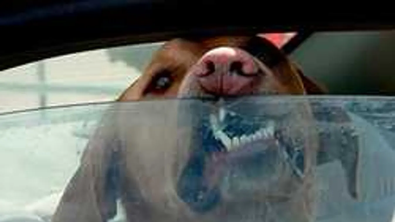 Van az a helyzet, amikor legálisan törhetünk fel autót