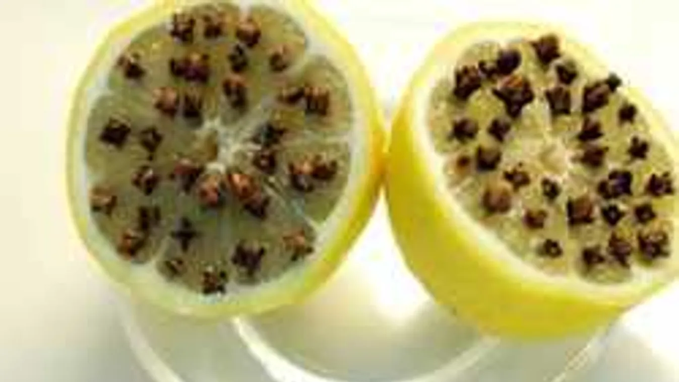 Végre egy jó trükk, így szabadulhatunk meg nyáron a legyektől