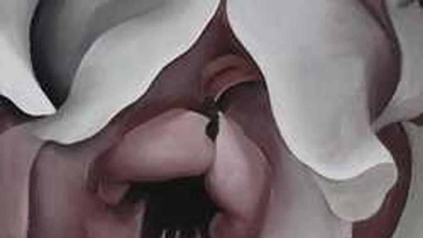 A női bugyik izgalmas titka: Valójában ötféle vagina létezik