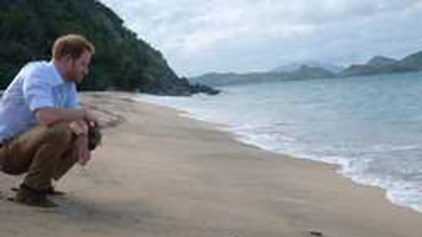 Harry herceg teljesen összetört: életveszélybe került legjobb barátja