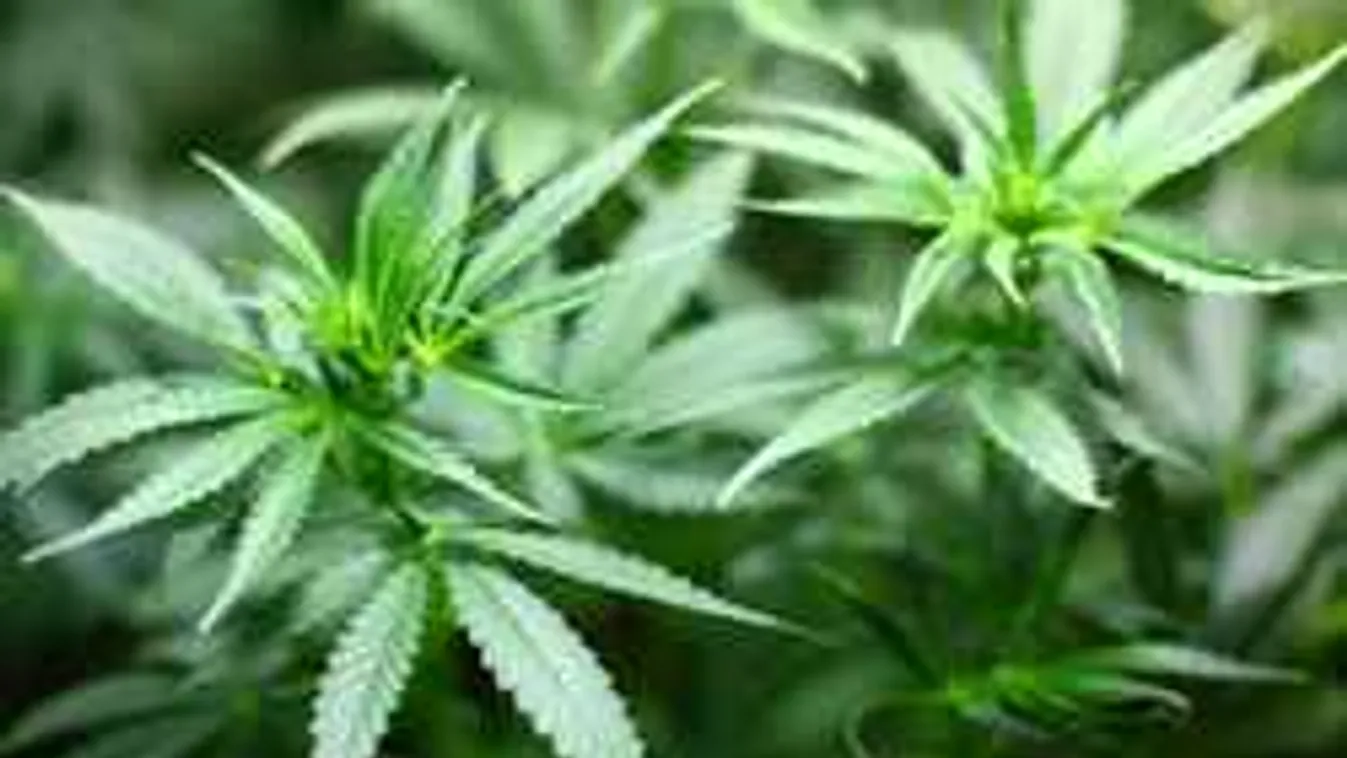 Játékpisztollyal helyszíneltek a trükkös pesti álrendőrök