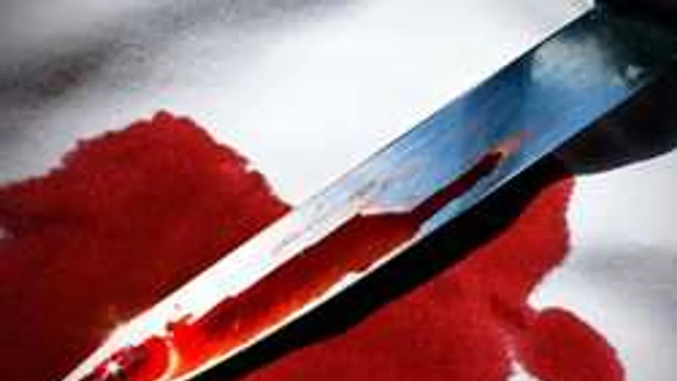 Konyhakéssel szúrta hasba élettársát a nógrádi nő - videó