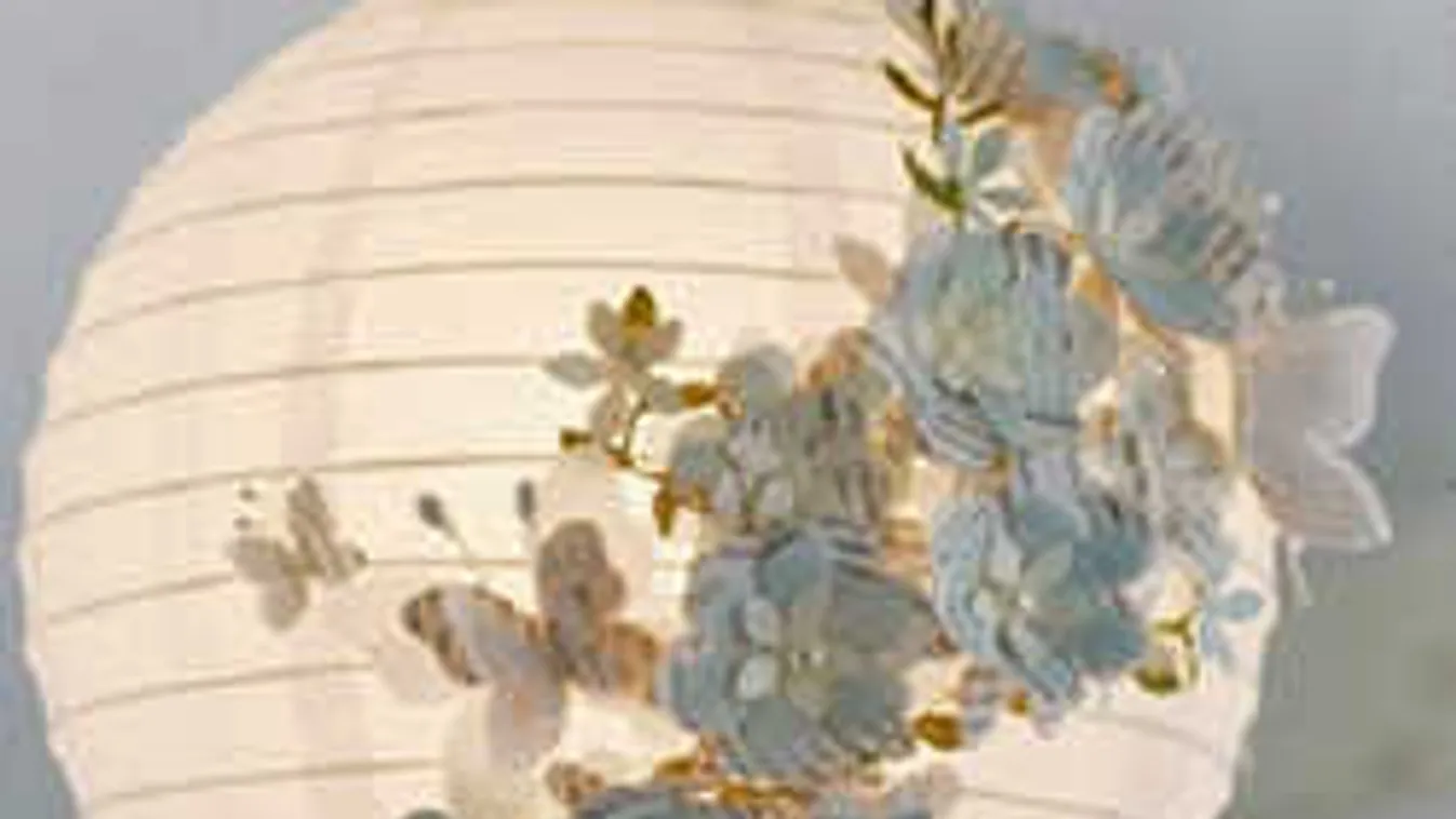 Hihetetlen, de igaz: megint mindent beborítottak a lepkék