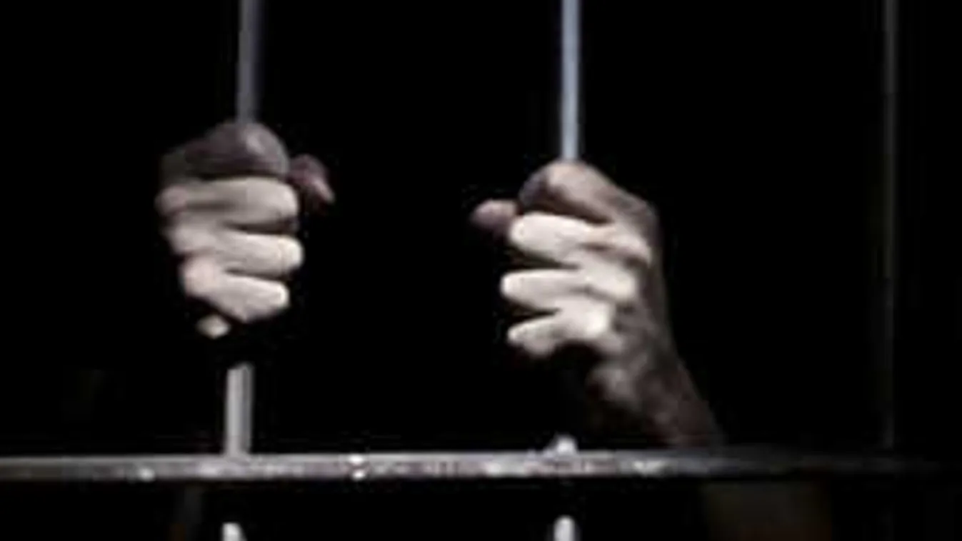 Ez durva: étteremben dolgozhat a móri mészárlással megvádolt László