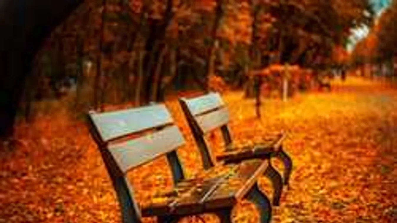 Eszméletlen tinire bukkantak a parkban, nem tudták megmenteni