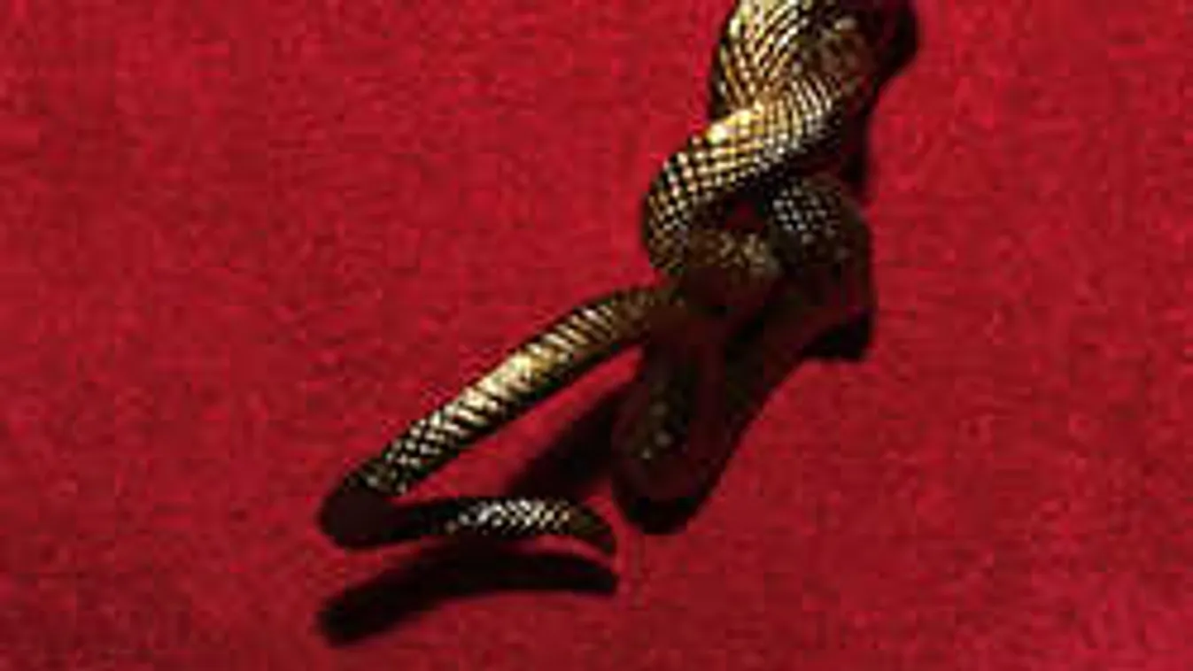 Izgató és bizarr a legújabb luxusvibrátor, ettől biztos megőrülsz