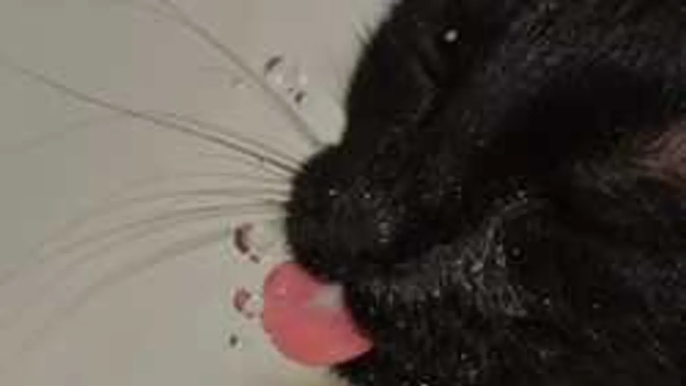 Vészjelzést kapott az ország: viharos esők mossák el a hétvégét