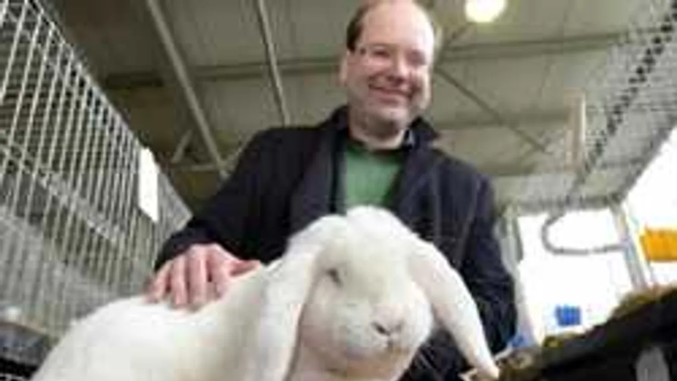 Ne vidd a nyuszidat Hamburgba! A kiállítás elmarad