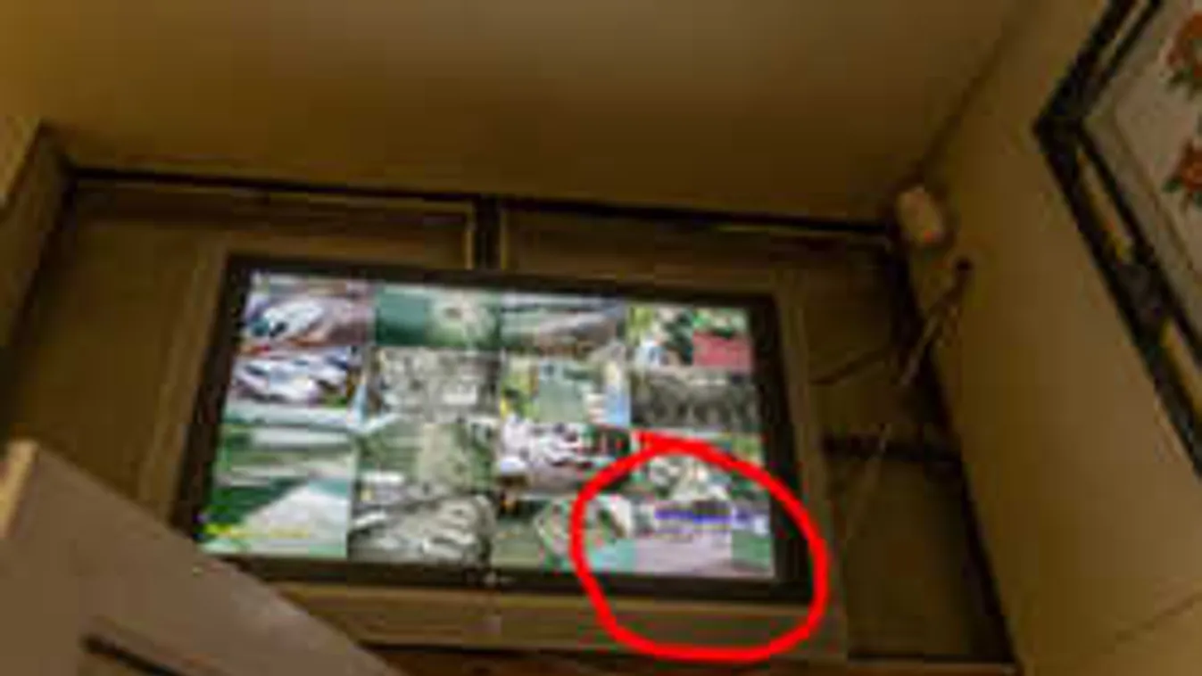 Õsszel tárgyalhatják a BMW-s gyilkosság gyanúsítottjának ügyét