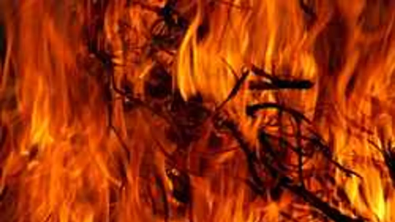 Gyorshír: Hatalmasra csaptak a lángok Szeged mellett