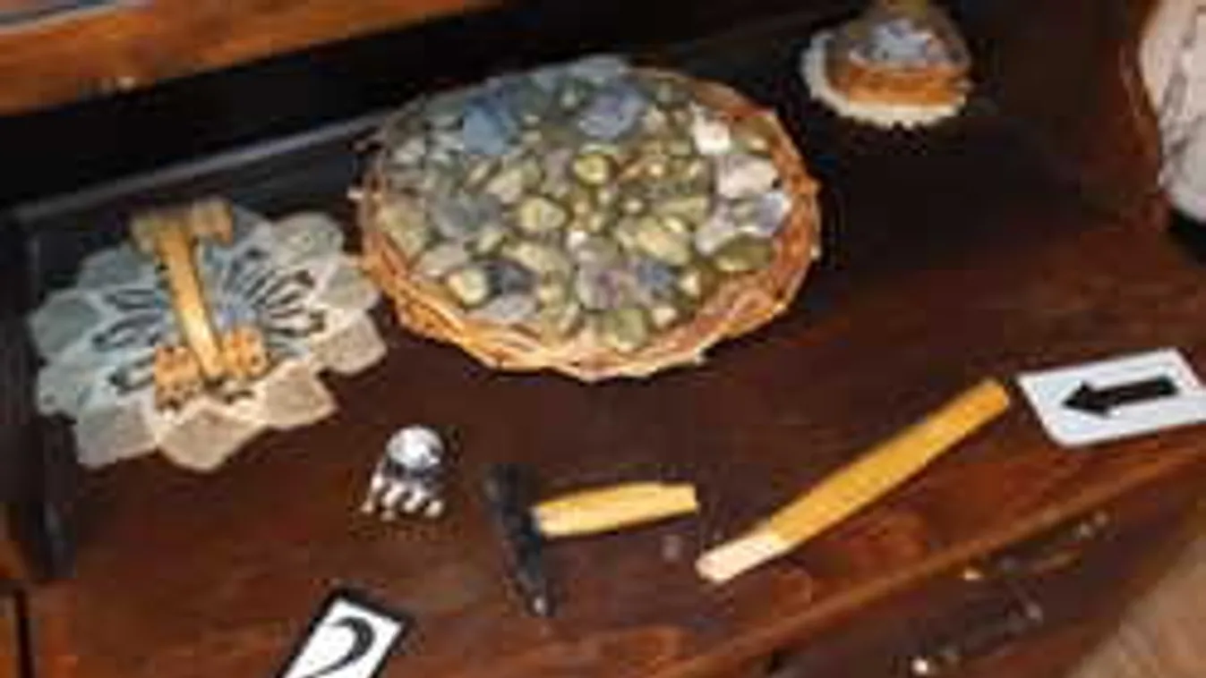 Híres amerikai sorozat alapján akarta meggyilkolni édesanyját a debreceni egyetemista