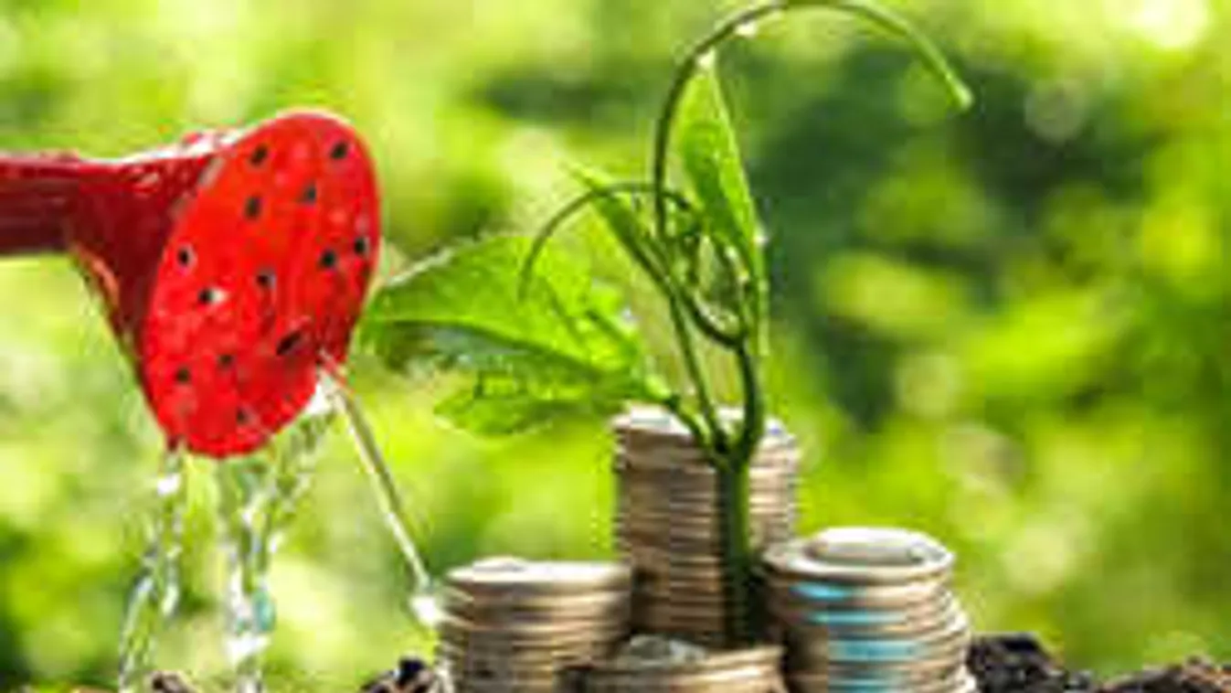 Ebbe fektetné a pénzét egy pénzügyi szakember, ha milliárdokat nyerne...