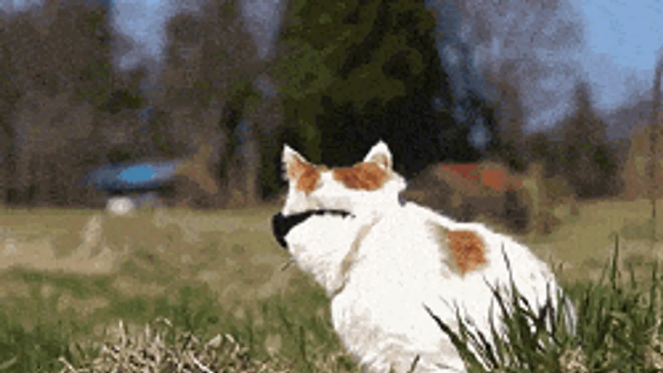 Bejelentették a meteorológusok: ez vár ránk a jövő héten