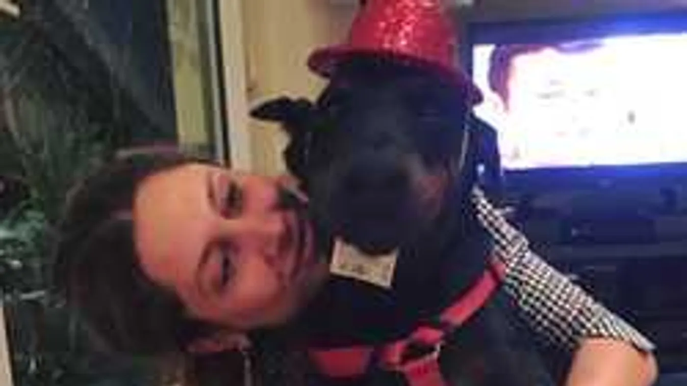 Összeomlott a gyásztól Horváth Éva