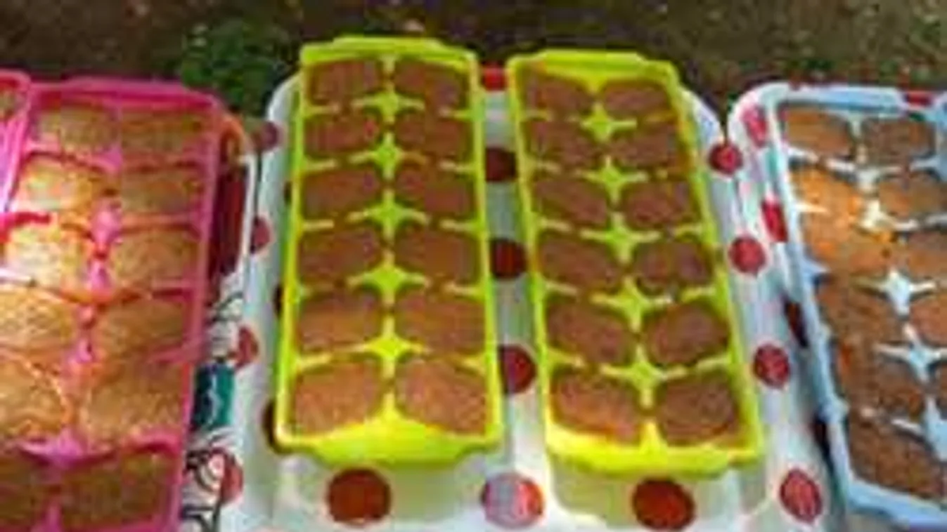 Elképesztő, mit talált ki megint a magyar szuper-háziasszony