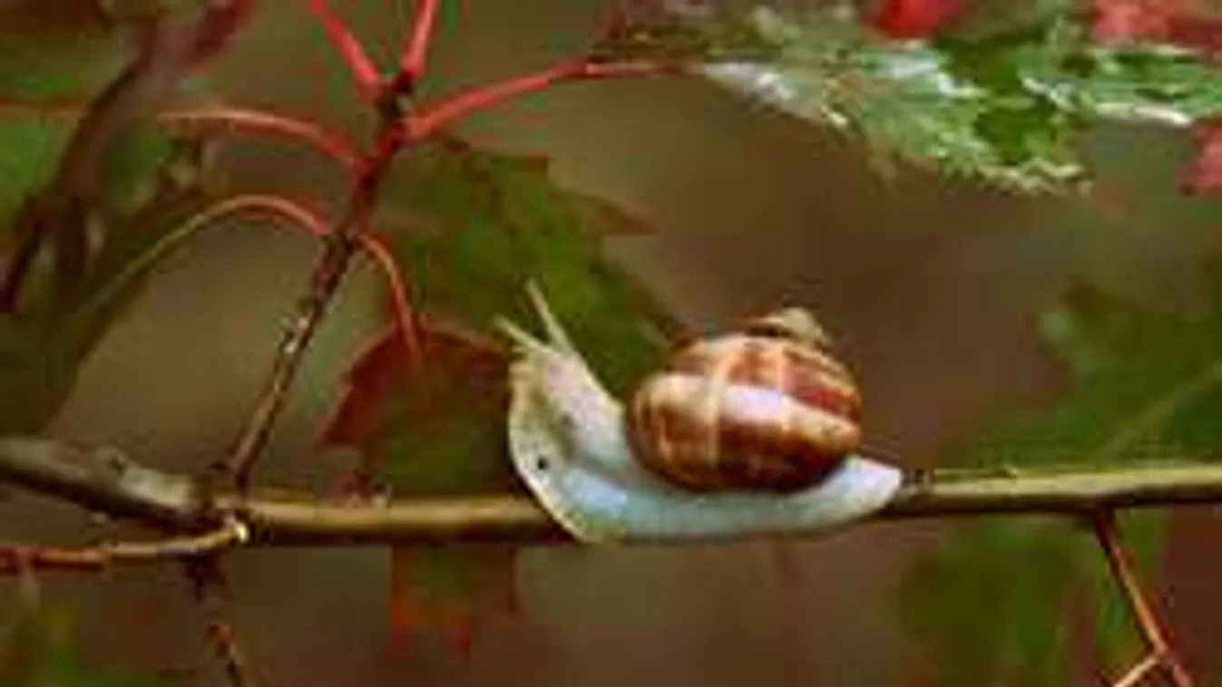 Bármikor lecsaphat a vihar, kiderült, meddig marad a hűvös idő