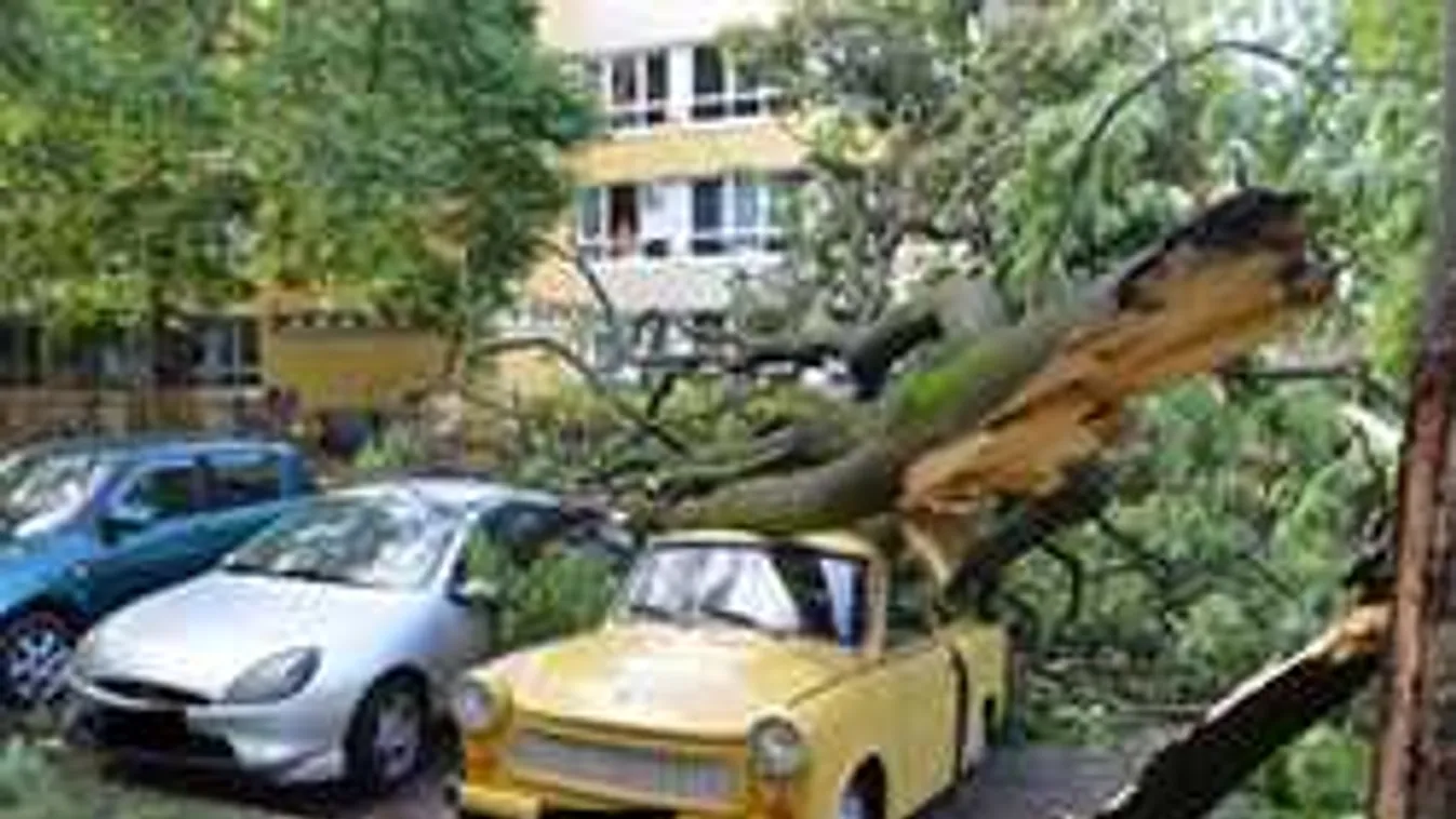 Megható történet: összefogtak a trabantos néniért