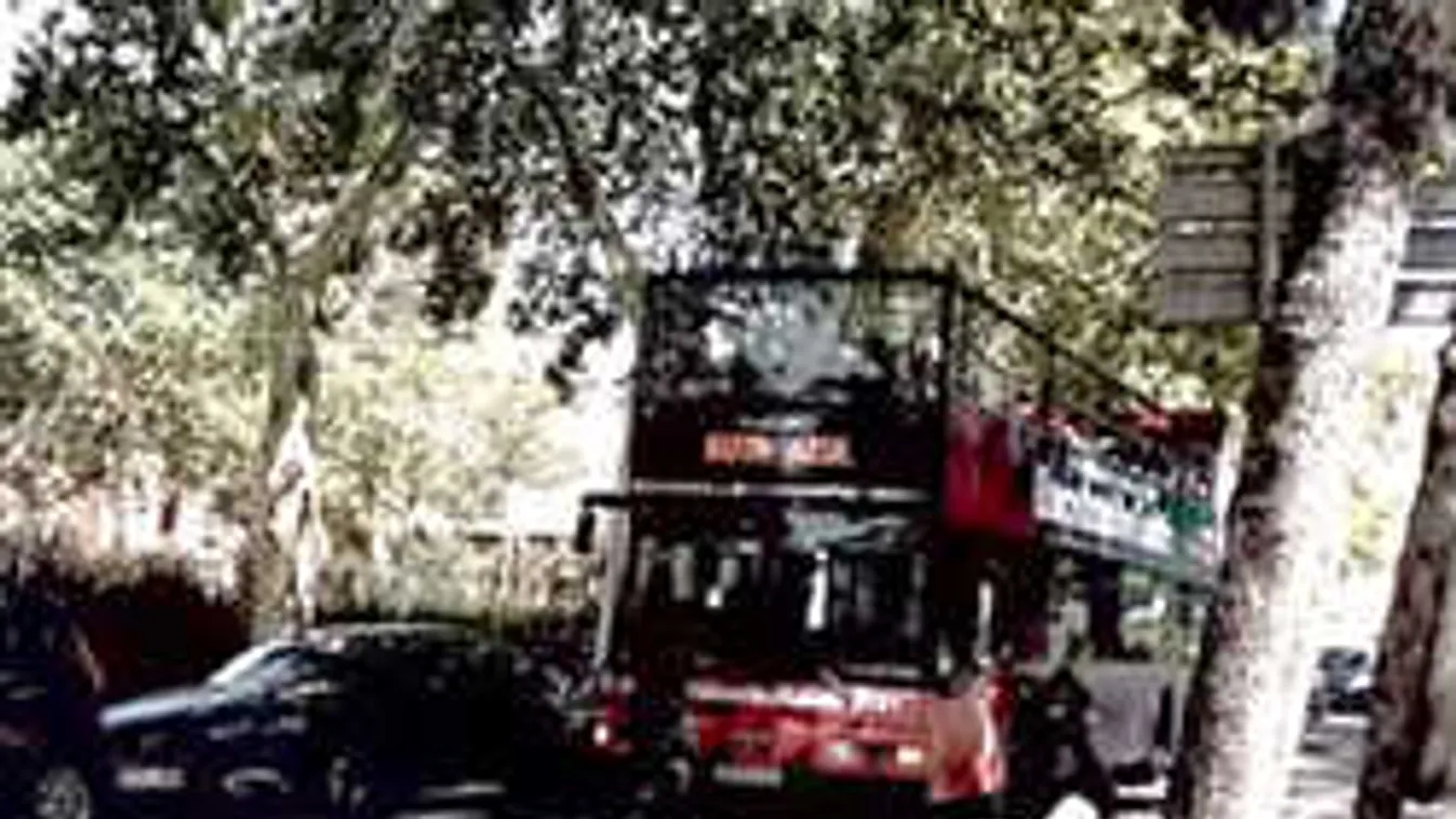 Maszkosok támadtak a turistabuszra, terrortámadástól féltek az utasok