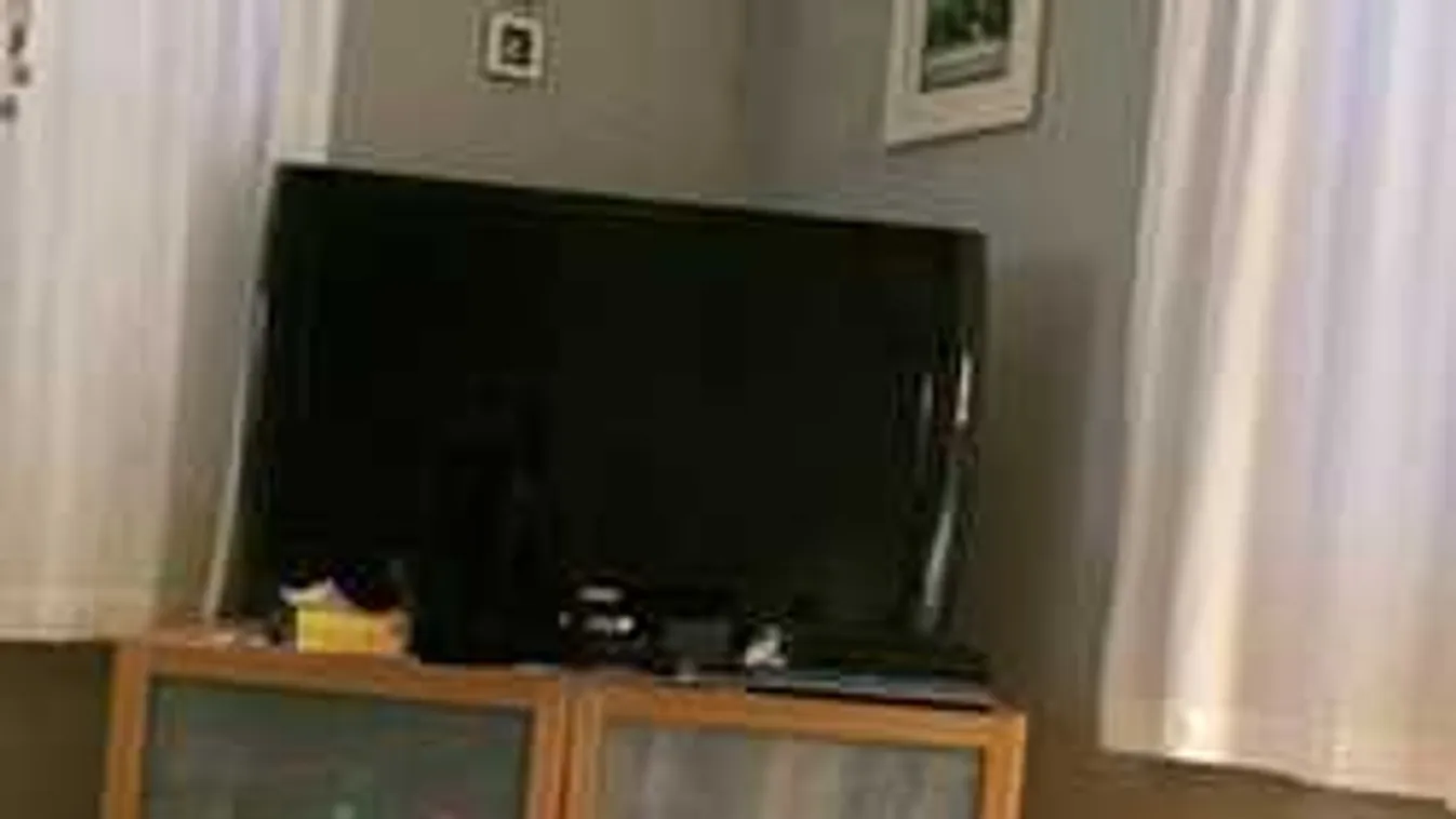 Kiakadtak a netezők: 92%-uk nem látja a fotón a macskát! Te igen?!