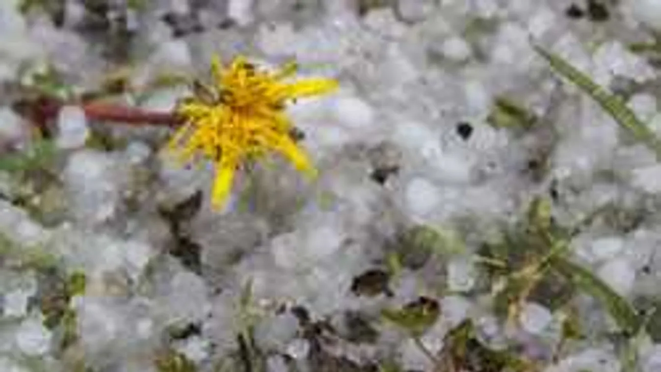 Eszméletlen időjárás: Hókotrók a magyarok kedvelt tengerpartján