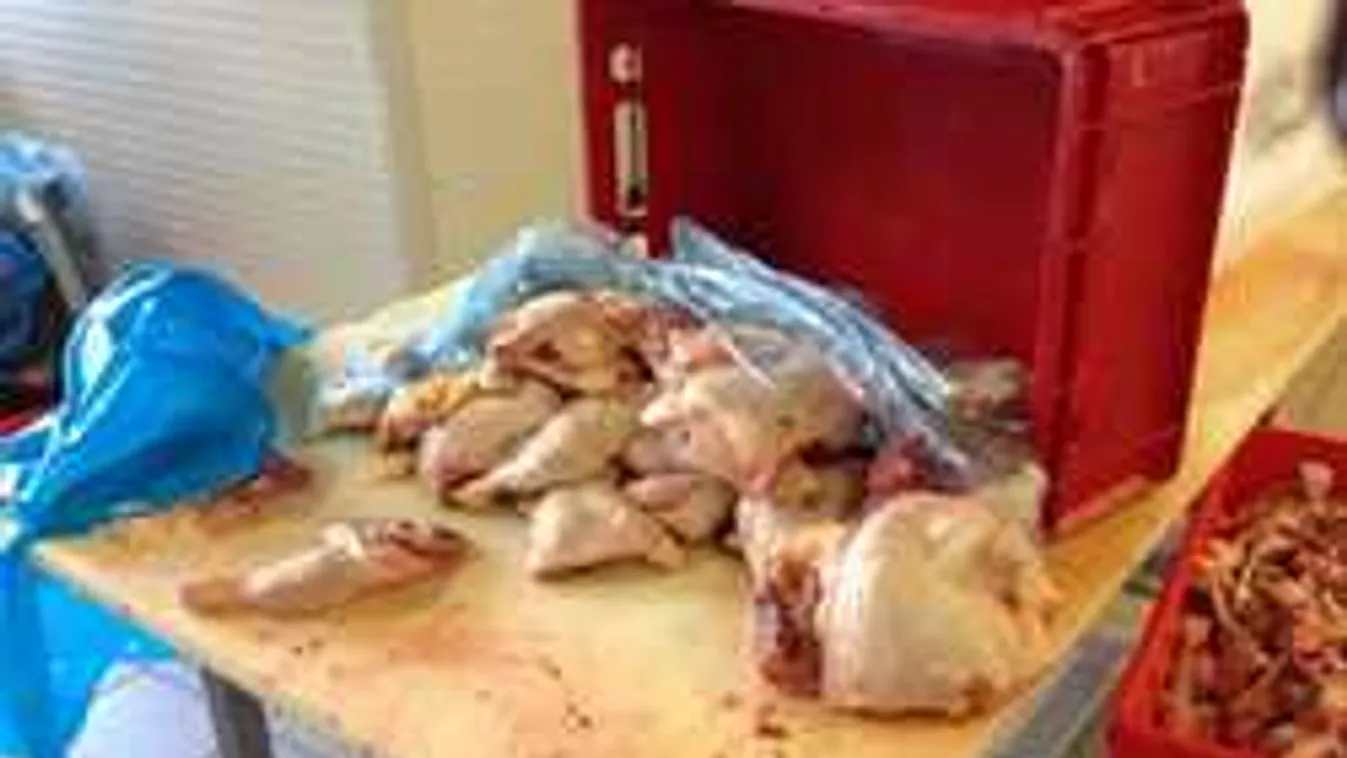 Sokkot kaptak az ellenőrök, amikor benyitottak a pomázi húsfeldolgozóba