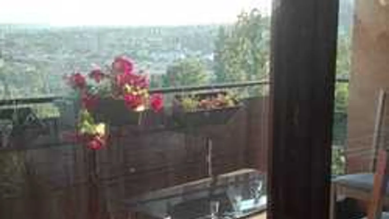 Ingyen luxusalbérletet hirdetnek Budapesten, de van egy feltétel...