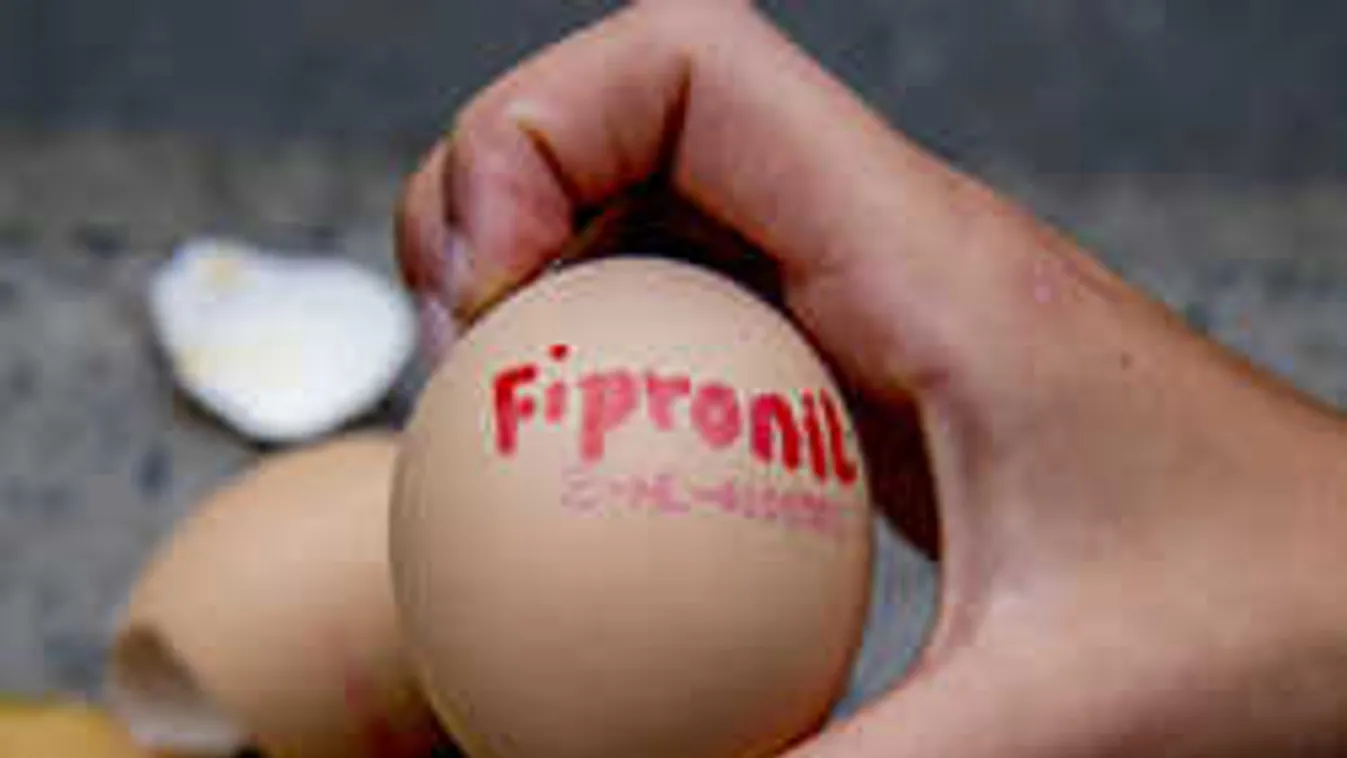 Százmilliókra büntethetik a magyar tojásmérgezőt