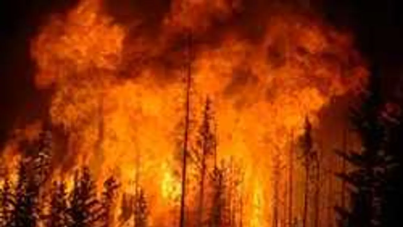 Hortobágyi tűzvész: Egy valami még nem derült ki a tragédiáról