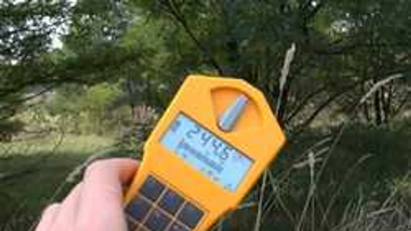 Normálisak? Radioaktív csernobili tűzifával árasztanák el Európát